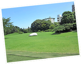 [photo]庭園