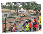 遠足